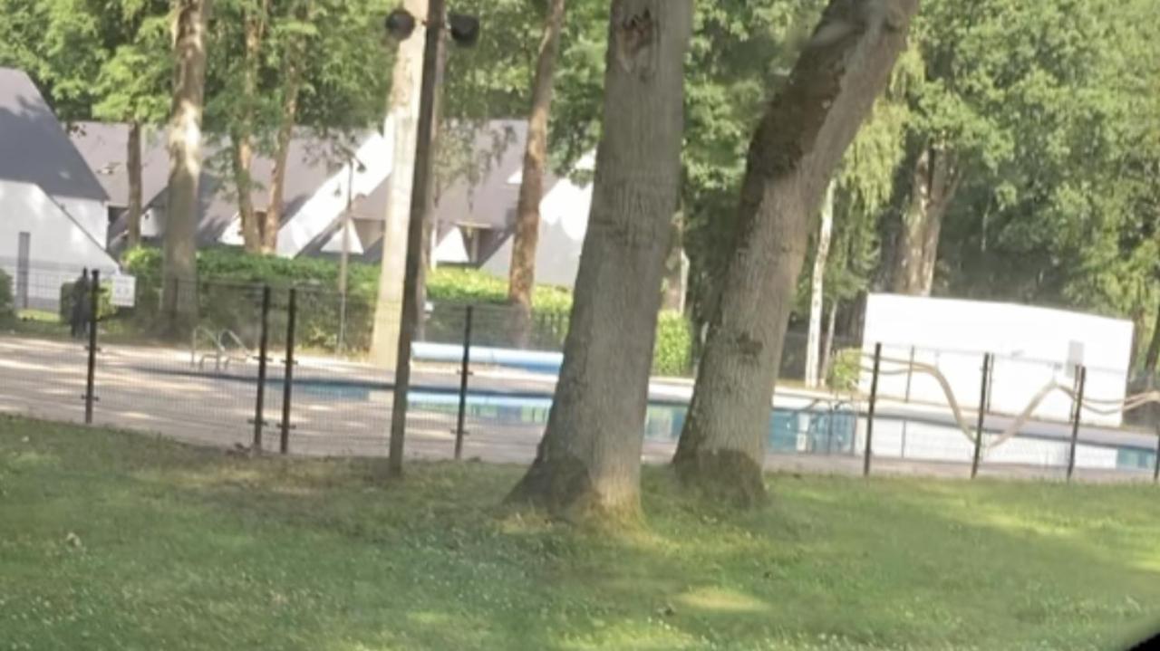 Vakantie Villa Hengelhoef Zonhoven Dış mekan fotoğraf